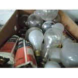 A box of various light bulbs