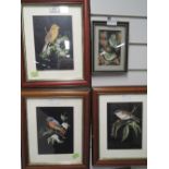 A selection of vintage gouache paintings of small birds signed JEV 97