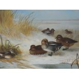 An oil on board, Ducks in winter landscape, 11.5in x 15in
