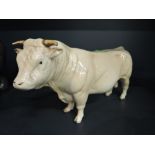 A Beswick study, Charolais Bull 2463A