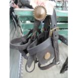 Two cart horse bridles