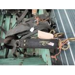 Two pairs of harness driving saddles with cruppers