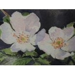 A watercolour, Henry W Bracken, dog roses, monogrammed, 4.5in x 7in