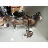 Three Beswick studies, Shire Mare 818, Foal, lying 915 & Thoroughbred Stallion 1772, all brown