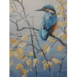 A Limited Edition print after Martin Ridley, Kingfisher, numbered and signed, 11.5in x 9.5in