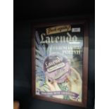 A vintage Lavendo advert with matching frame