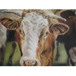 An oil painting, Thuline De Cock, 00005 Cattle study, signed and dated (20)03 attributed verso, 16in