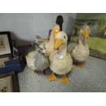 A selection of vintage life size replica duck and similar bird figures