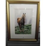 A watercolour, Philip Allder, study of horse, signed, 16in x 10.5in