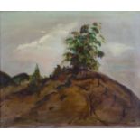Marjorie Fitzgibbon HRHA (b.1930)Trees on a HillsideOil on canvas, 60 x 74cm (23½ x 29'')Signed with