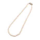 Collar de un hilo de perlas cultivadas con cierre en oro blanco Diámetro perlas: 8,5 mm Precisa
