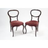 A pair of Victorian mahogany balloon-back occasional chairs with padded seats and on slender