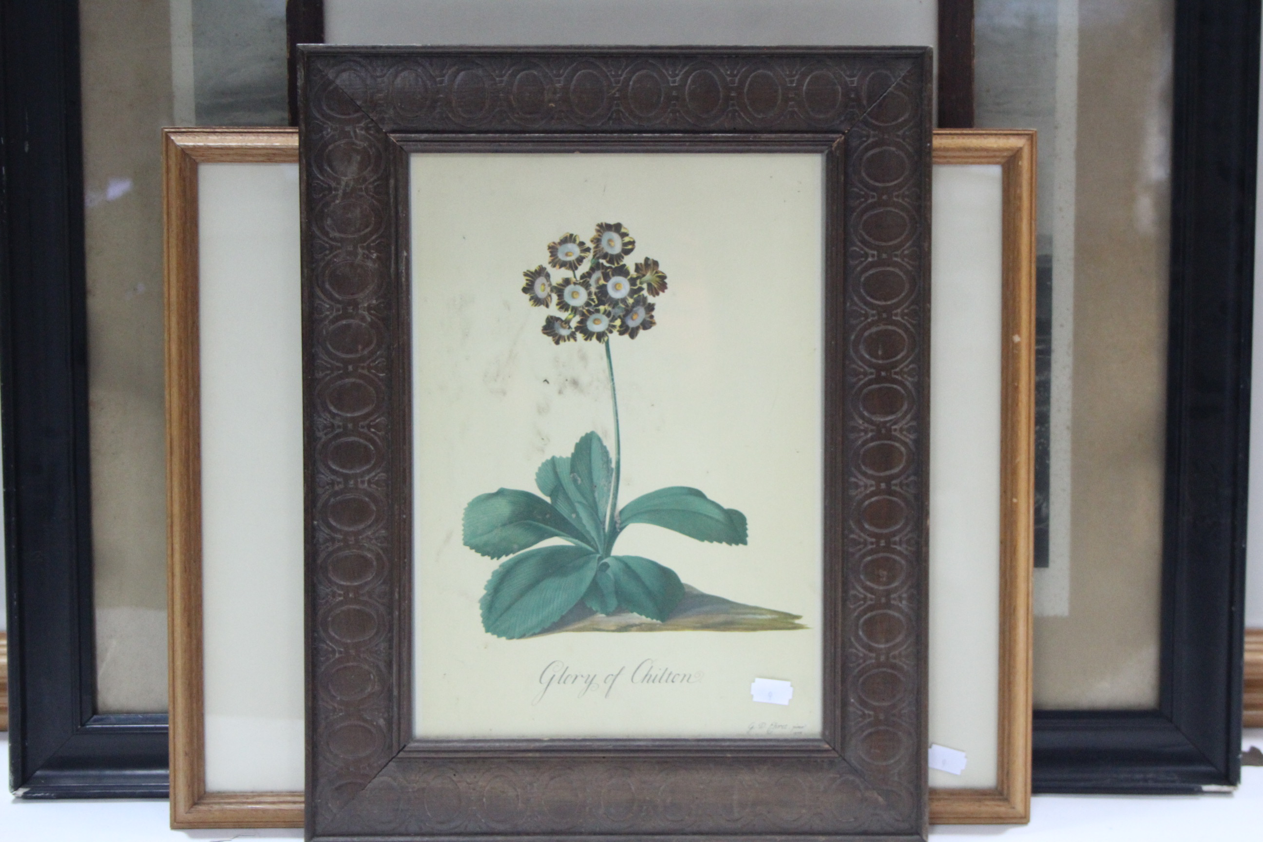 Nine various decorative prints, all framed. - Image 9 of 9