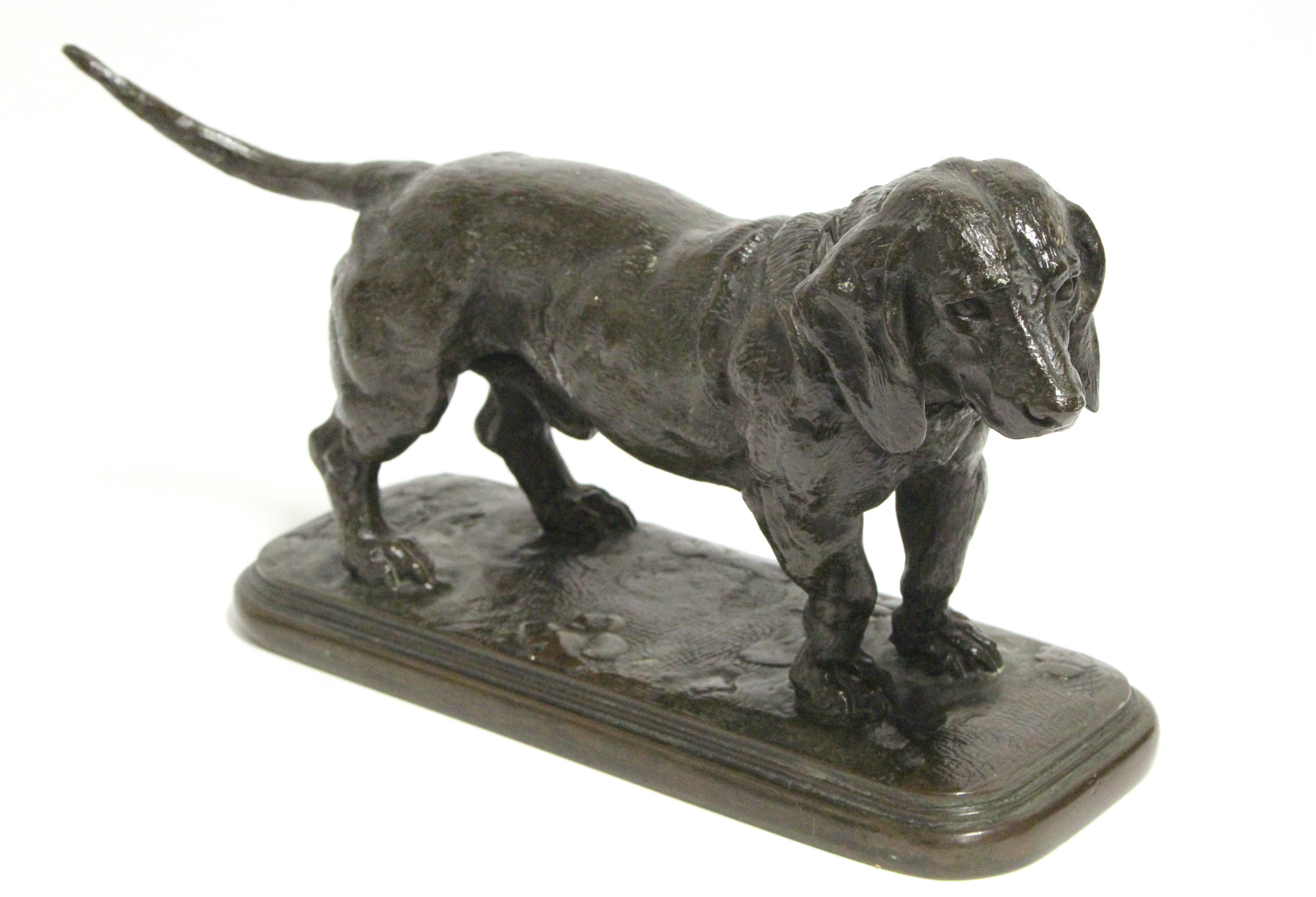 A BRONZE MODEL OF A BASSETT HOUND cast from the model by ANTOINE-LOUIS BARYE (1795-1875),