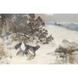 A winter landscape with black grouse displaying. Signed indistinctly; watercolour: 9½” x 14½”.