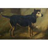 200. ENGLISH SCHOOL, 19th century. A portrait study of a standing terrier in a wooded landscape; oil