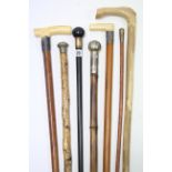 An Edwardian ebonised gent’s walking cane with 18ct. gold plated mount; together with five other