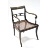 A regency mahogany & brass mounted elbow chair with scroll arms & cane seat, on sabre legs. (w.a.