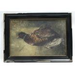 ENGLISH SCHOOL, late 19th century. A study of a pheasant on a kitchen table. Oil on canvas: 14” x
