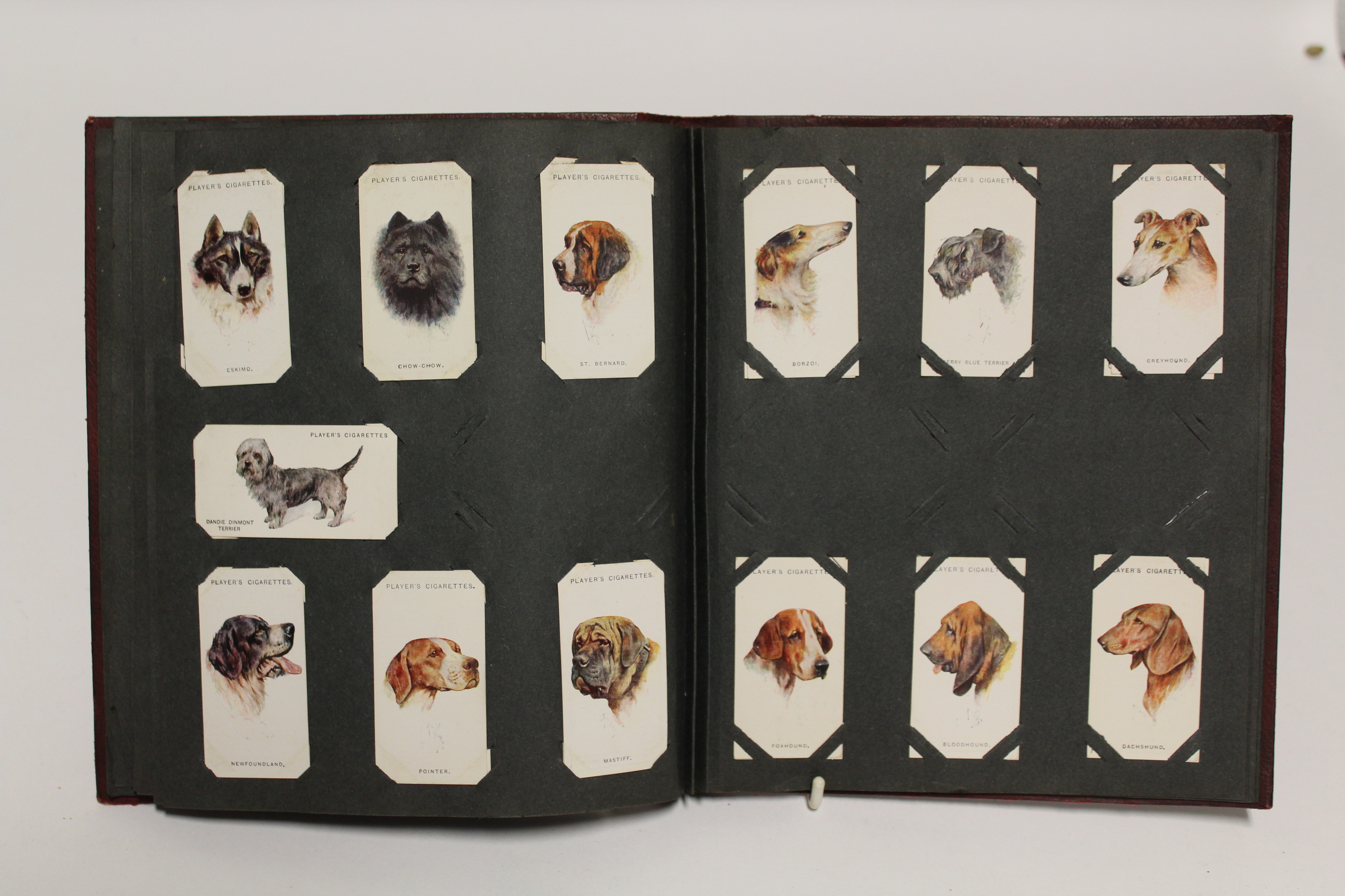 An album of mixed cigarette cards including “zoological studies” by Millhoff & Co. (sixty-four - Image 8 of 12