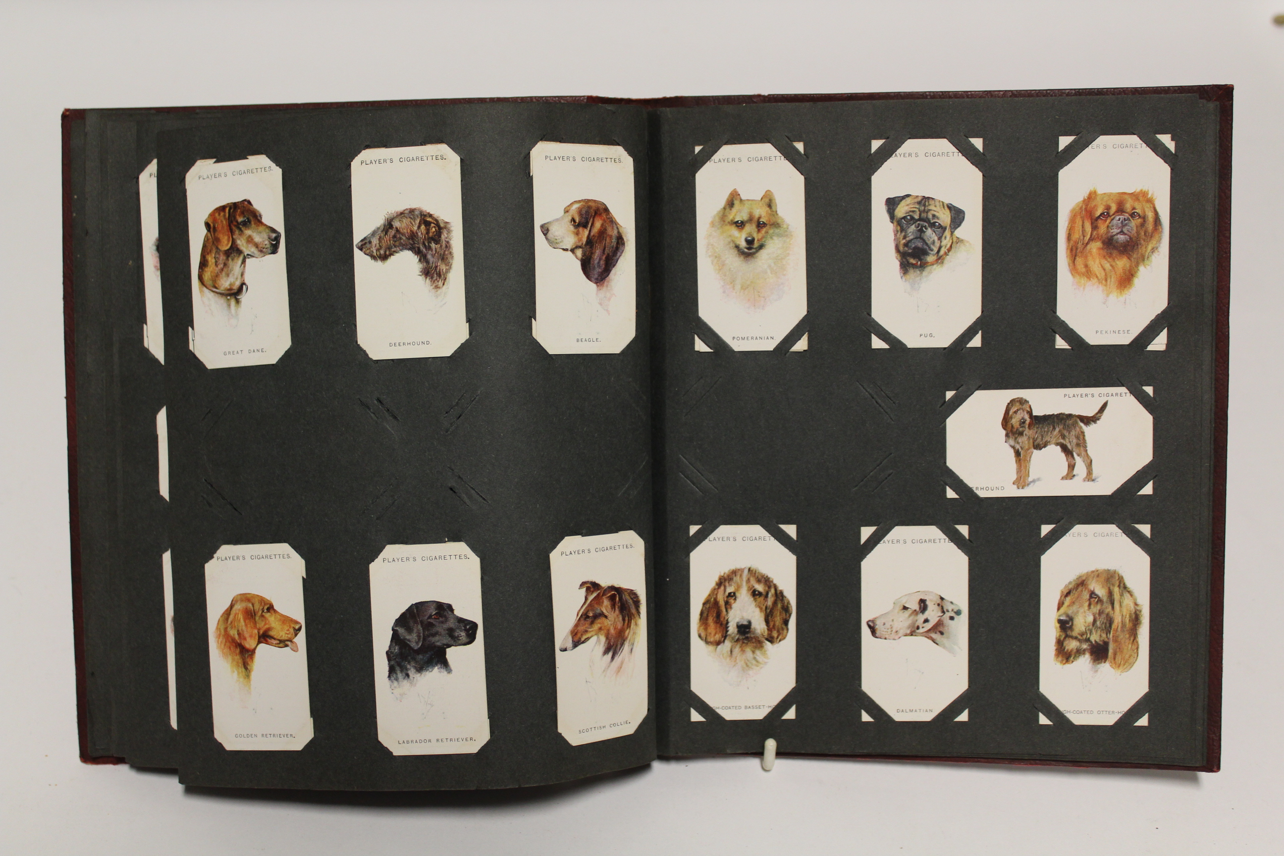 An album of mixed cigarette cards including “zoological studies” by Millhoff & Co. (sixty-four - Image 9 of 12