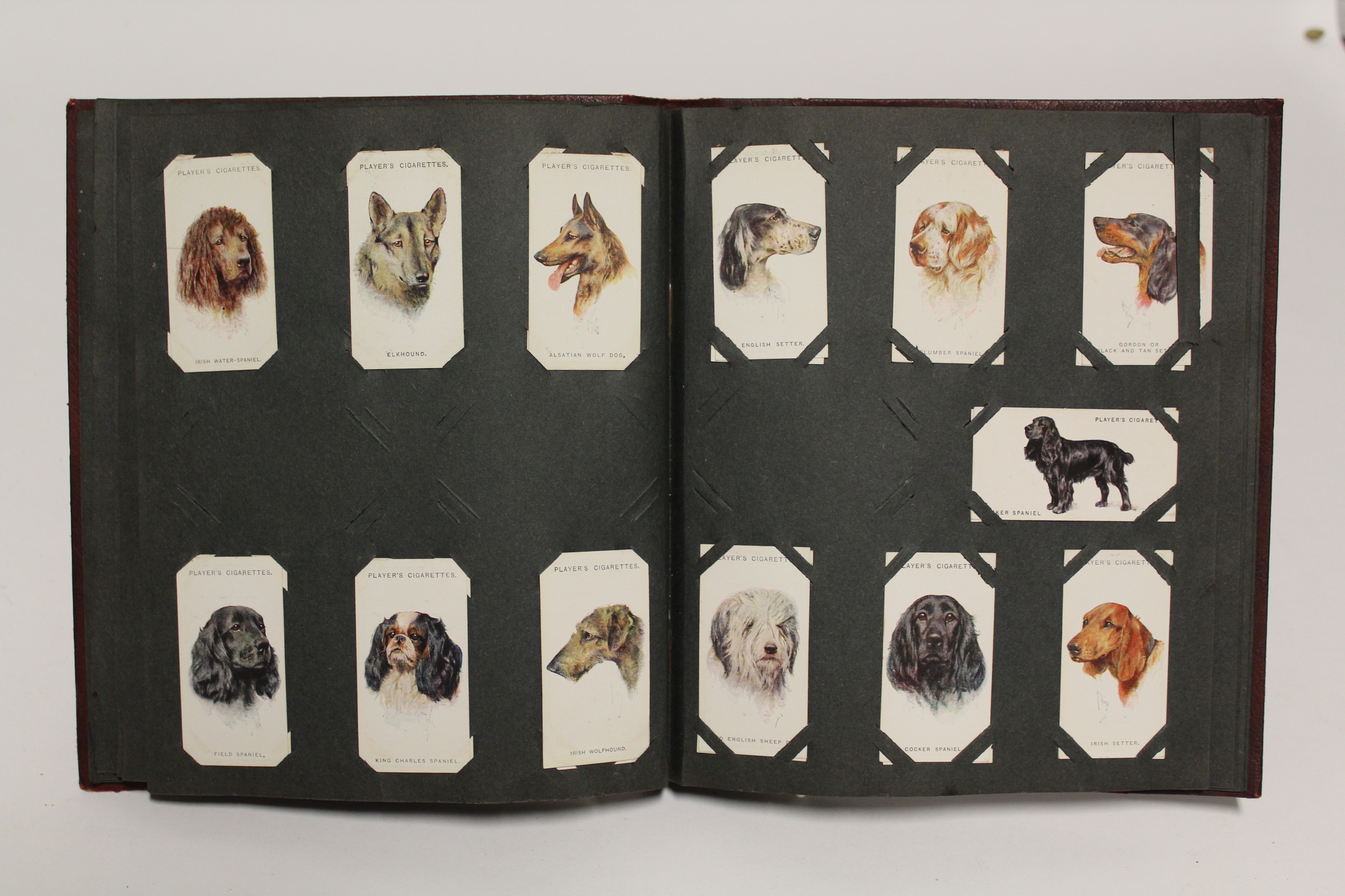 An album of mixed cigarette cards including “zoological studies” by Millhoff & Co. (sixty-four - Image 7 of 12