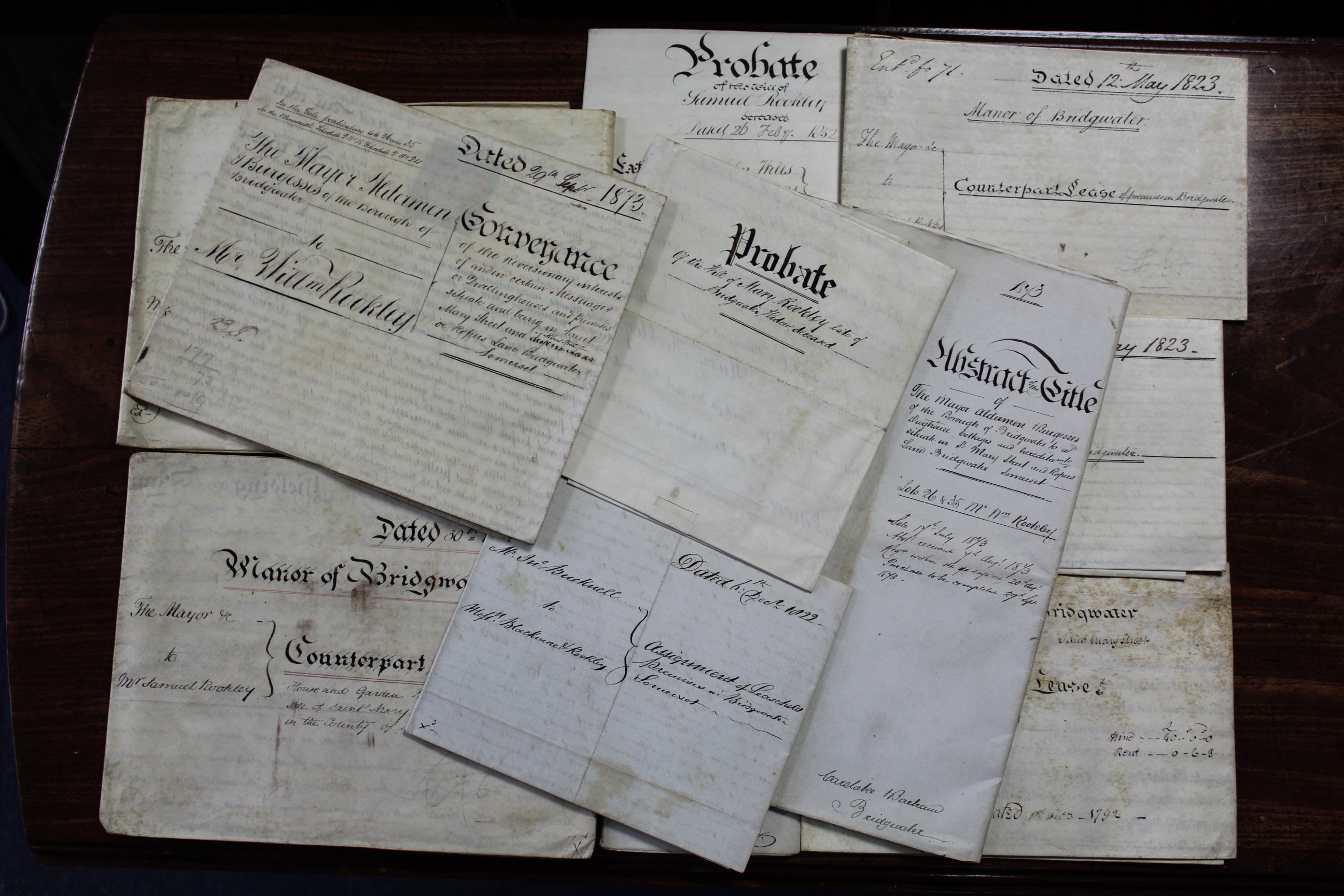 Nine various 19th century indentures on vellum, unframed.