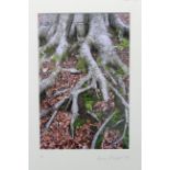 A large Limited Edition coloured photograph by Anna Proctor titled: “Flowing Tree Bark”, Ltd. Edn.