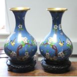 A pair of cloisonné globular vases of blue ground & with multi-coloured floral design, 8” high; five
