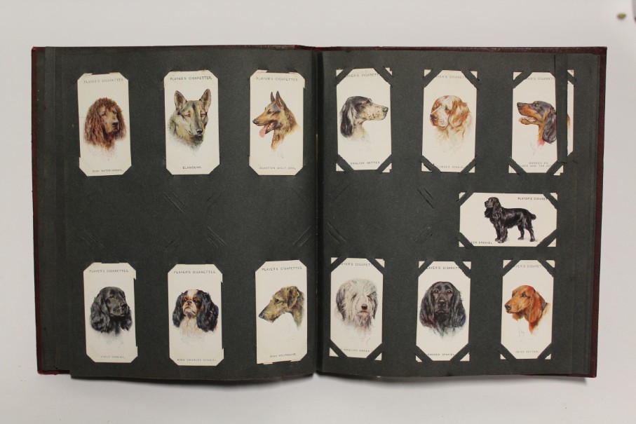 An album of mixed cigarette cards including “zoological studies” by Millhoff & Co. (sixty-four