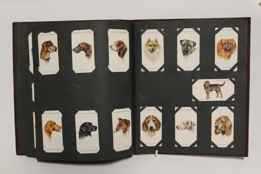 An album of mixed cigarette cards including “zoological studies” by Millhoff & Co. (sixty-four - Image 7 of 11