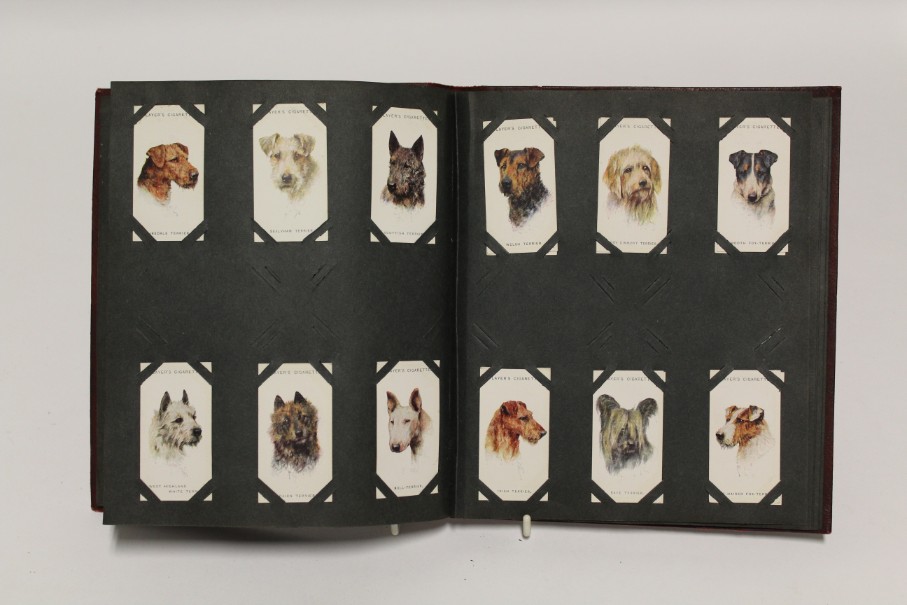 An album of mixed cigarette cards including “zoological studies” by Millhoff & Co. (sixty-four - Image 5 of 11