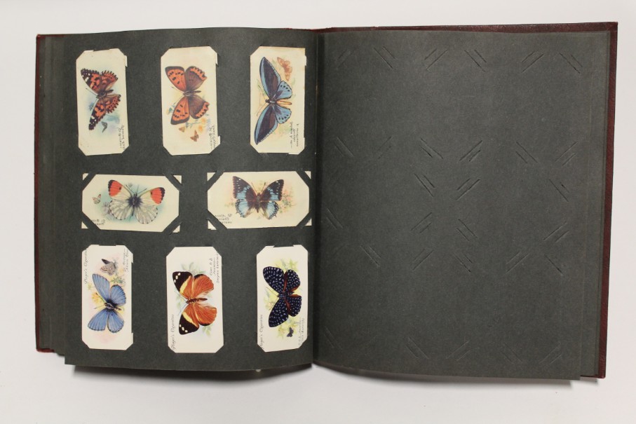 An album of mixed cigarette cards including “zoological studies” by Millhoff & Co. (sixty-four - Image 10 of 11