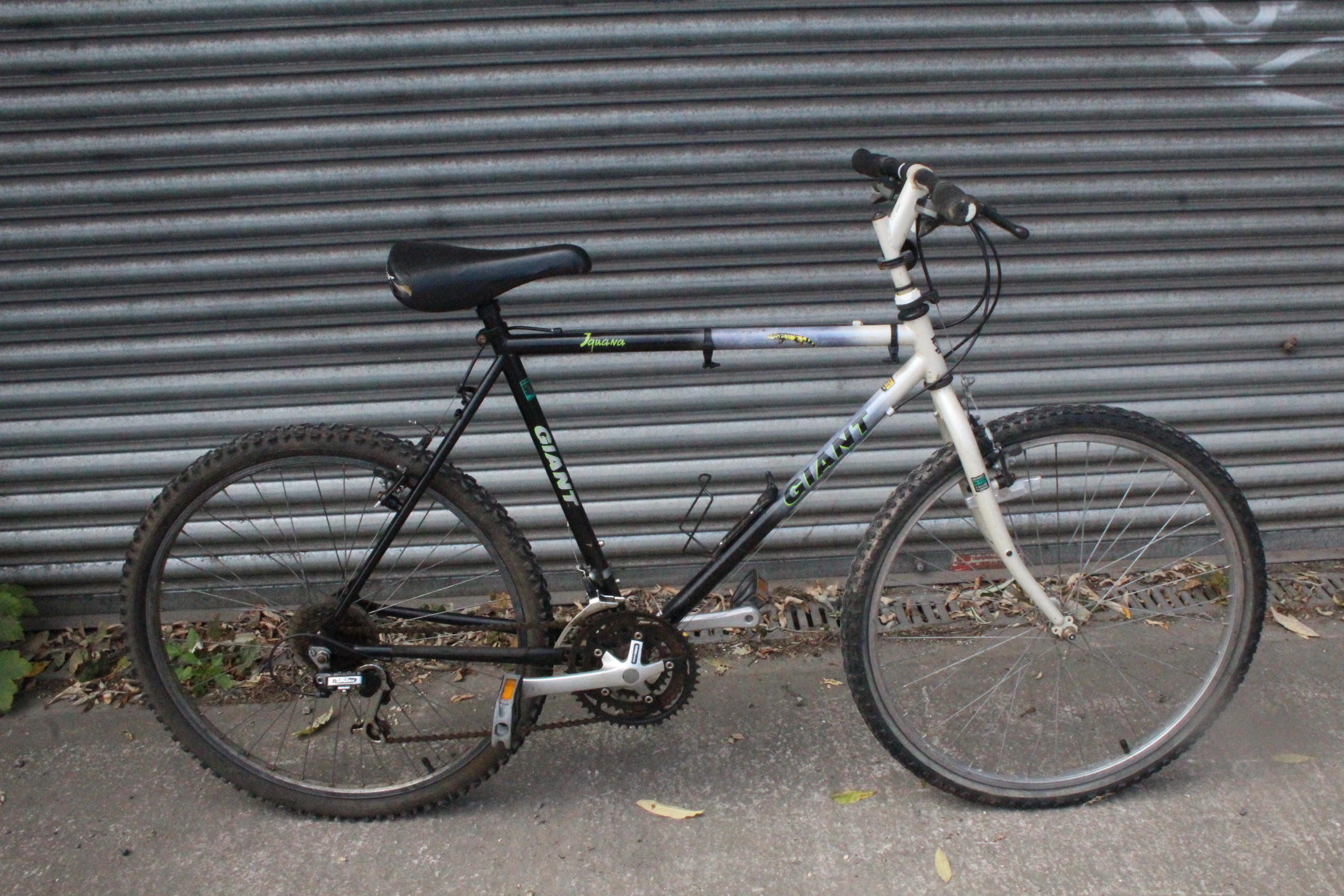 A Giant “Iguana” twenty-one speed mountain bicycle.