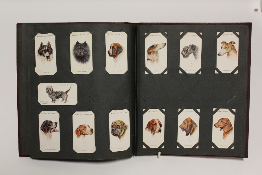 An album of mixed cigarette cards including “zoological studies” by Millhoff & Co. (sixty-four - Image 6 of 11