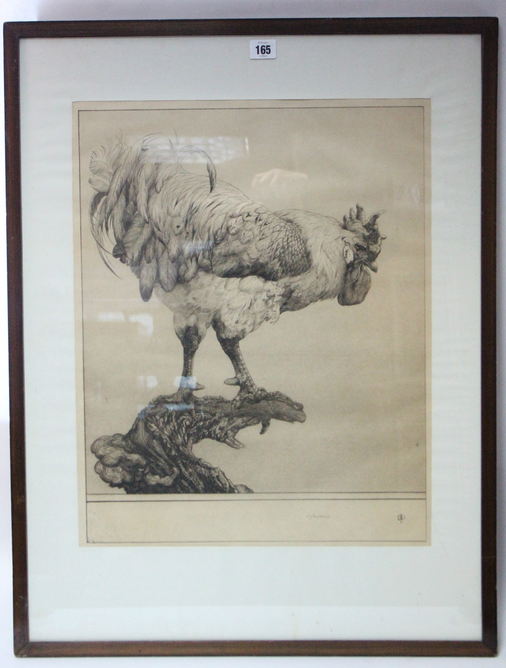 A black & white etching titled “The Rooster”, 21” x 16¾”; a 19th century coloured print titled “