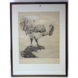 A black & white etching titled “The Rooster”, 21” x 16¾”; a 19th century coloured print titled “