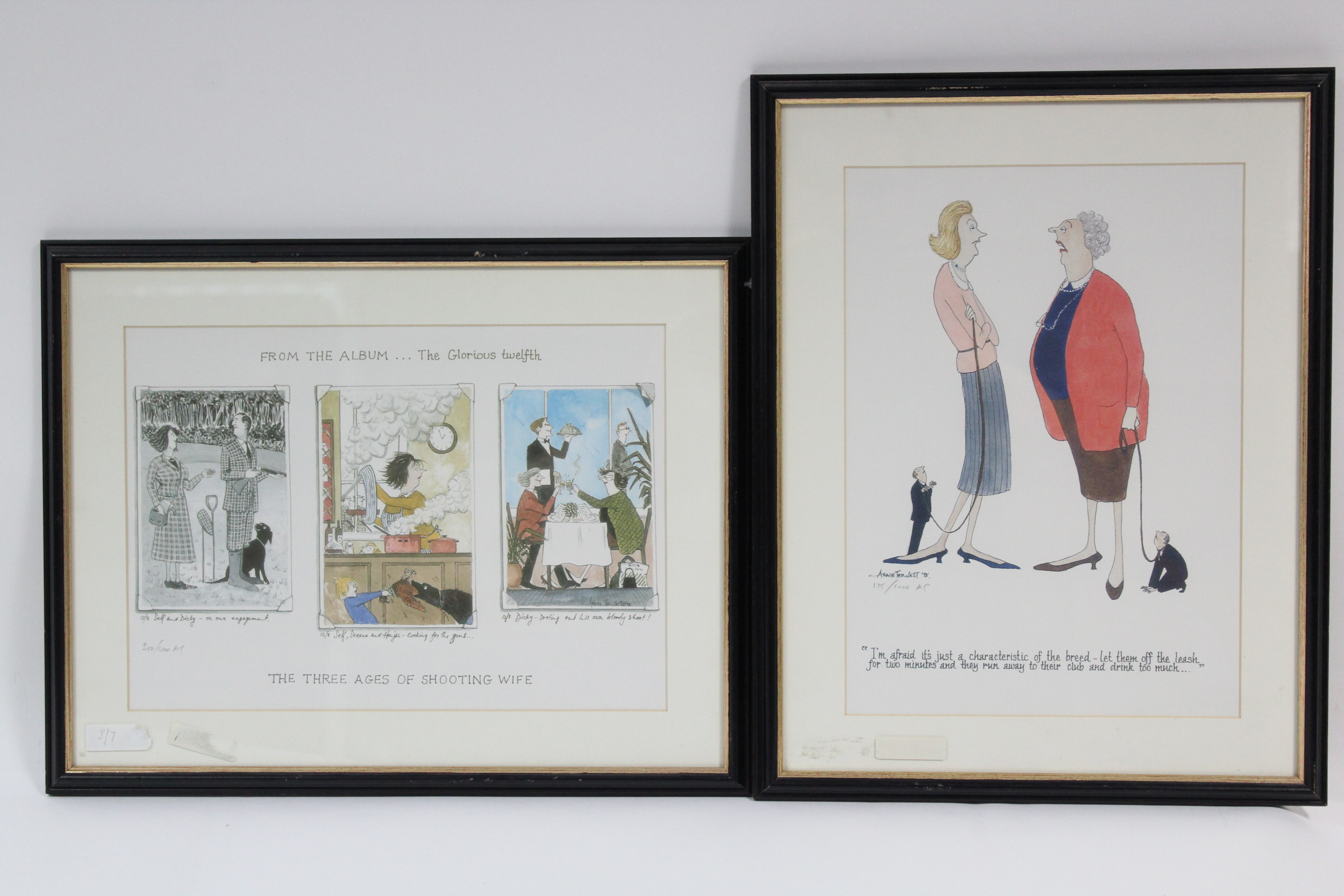 TEMPEST, ANNIE (contemporary). “Tottering-By-Gently”, thirty three framed chromolithograph - Image 12 of 12