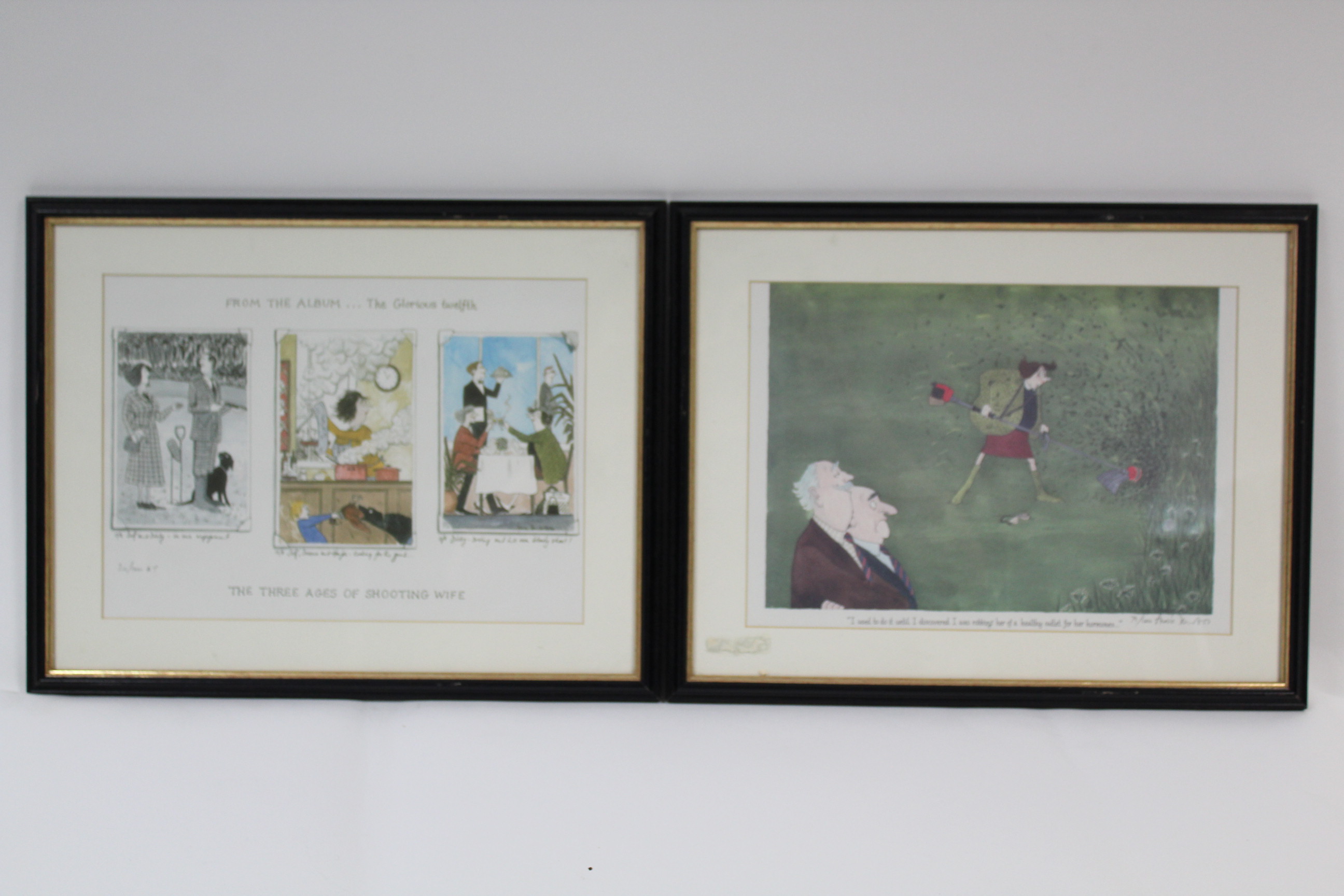 TEMPEST, ANNIE (contemporary). “Tottering-By-Gently”, thirty three framed chromolithograph - Image 11 of 12