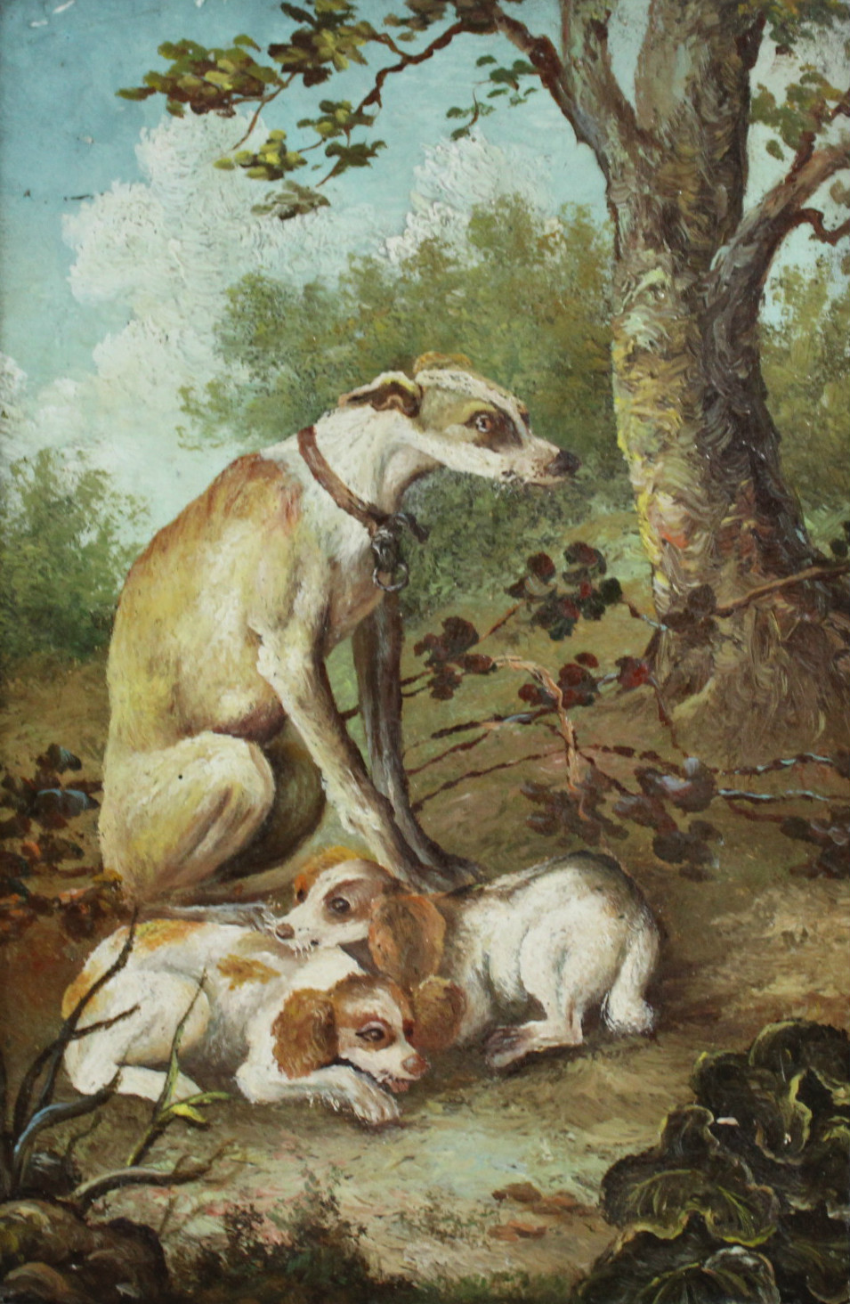 ENGLISH SCHOOL, early-mid 19th century. A greyhound & two spaniels seated in a woodland clearing.