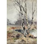 JONES, Reginald T. (1857-1904). A study of silver birch in marshland, titled “Mid Winter”.