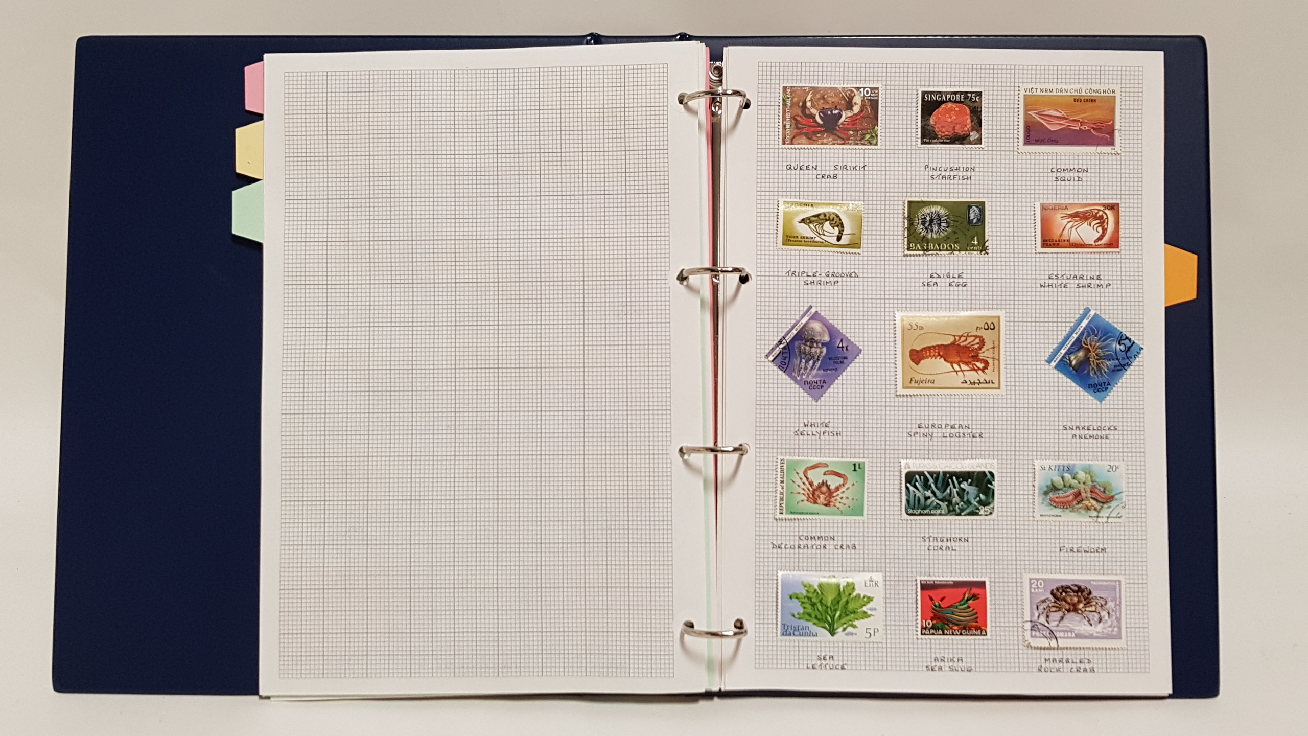 A collection of mostly foreign stamps in thirteen ring-binder albums, many themed, including