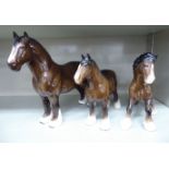 Three Beswick china Shire Horses, viz. a mare 10.5''h; and two foals 8.