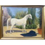 Early 20thC British School - an equestrian study, a standing white horse,