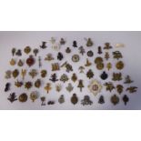Approx fifty military cap badges,