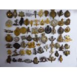 Approx fifty military cap badges, some copies: to include the Royal Warwickshire,
