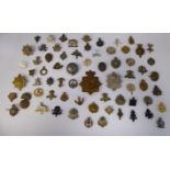 Approx fifty military cap badges,