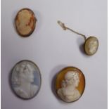 Three similar oval shell carved cameo brooches,