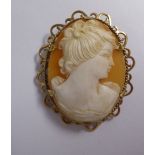 An oval shell carved cameo brooch,