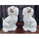 A pair of late Victorian Staffordshire china model, seated spaniels with painted features 11.